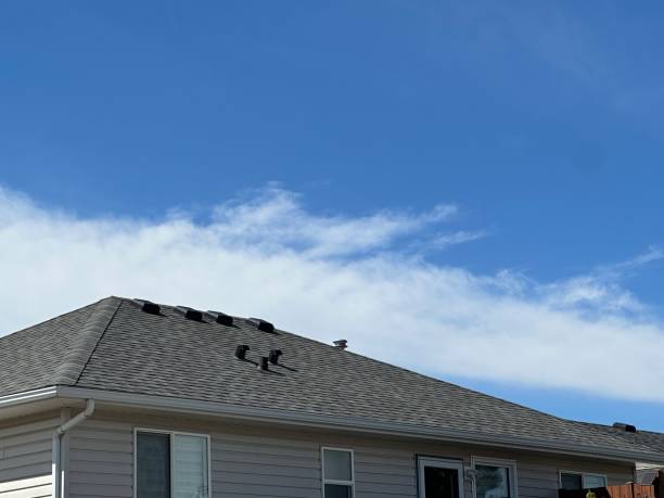 Best Roof Maintenance and Cleaning  in Bear Rocks, PA